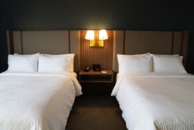 Holiday Inn Chicago O'Hare - Rosemont