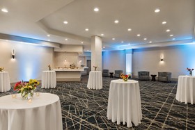 Sheraton Suites Chicago O'Hare