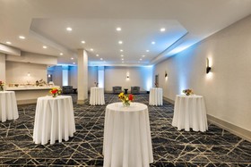 Sheraton Suites Chicago O'Hare
