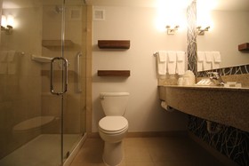 Hilton Garden Inn Schaumburg