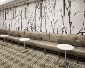 Hyatt Regency Schaumburg, Chicago