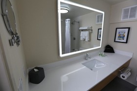 Holiday Inn North Shore - Skokie