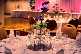 Hilton Garden Inn Springfield