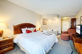 Hilton Garden Inn Springfield