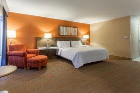 Hilton Garden Inn Chicago/Tinley Park