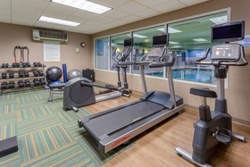 Holiday Inn Express Hotel & Suites Vandalia