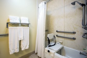 Holiday Inn Express Hotel & Suites Vandalia