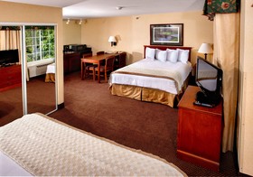 The Lotus Suites