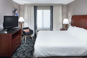 Hilton Garden Inn Naperville/Warrenville