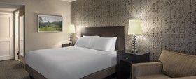 Doubletree Chicago Wood Dale