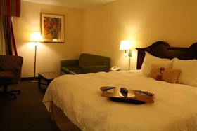 Hampton Inn Anderson