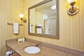 Holiday Inn Express Hotel & Suites Anderson