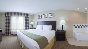 Holiday Inn Express Hotel & Suites Anderson