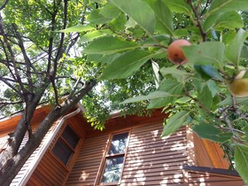 Persimmon Inn