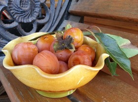 Persimmon Inn