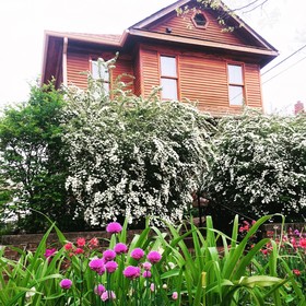 Persimmon Inn