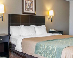 Comfort Inn