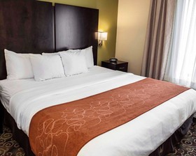 Comfort Suites Brownsburg