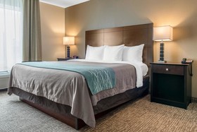 Comfort Inn & Suites Porter Near Indiana Dunes