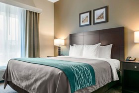 Comfort Inn & Suites Porter Near Indiana Dunes
