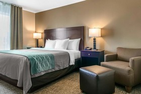Comfort Inn & Suites Porter Near Indiana Dunes