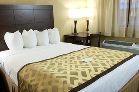 Best Western Green Tree Inn