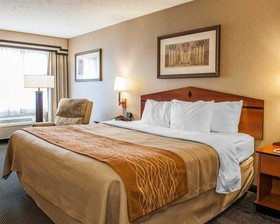 Comfort Inn Near Indiana Premium Outlets