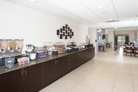 Microtel Inn & Suites by Wyndham Elkhart
