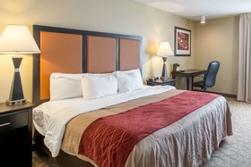 Comfort Inn East