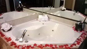 Best Western Plus Fort Wayne Inn & Suites North