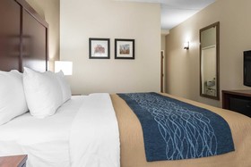 Comfort Inn Indianapolis North - Carmel
