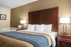 Comfort Inn Indianapolis North - Carmel