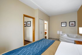 Comfort Inn Indianapolis North - Carmel