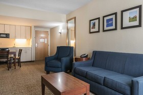 Comfort Inn Indianapolis North - Carmel