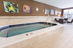 Drury Plaza Hotel Indianapolis Carmel