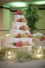 Embassy Suites by Hilton Indianapolis North