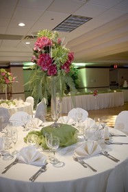 Embassy Suites by Hilton Indianapolis North