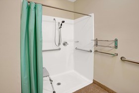 Microtel Inn & Suites by Wyndham Indianapolis Airport