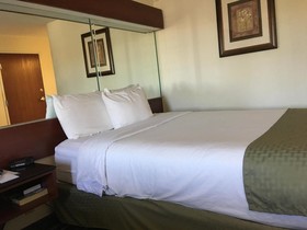Microtel Inn & Suites by Wyndham Indianapolis Airport