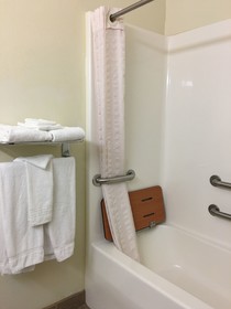 Microtel Inn & Suites by Wyndham Indianapolis Airport