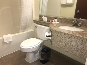 Microtel Inn & Suites by Wyndham Indianapolis Airport