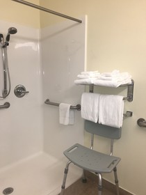 Microtel Inn & Suites by Wyndham Indianapolis Airport