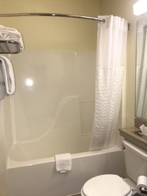 Microtel Inn & Suites by Wyndham Indianapolis Airport