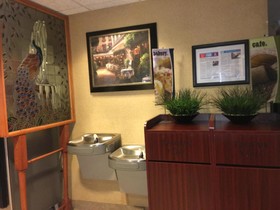 Microtel Inn & Suites by Wyndham Indianapolis Airport