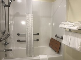 Microtel Inn & Suites by Wyndham Indianapolis Airport