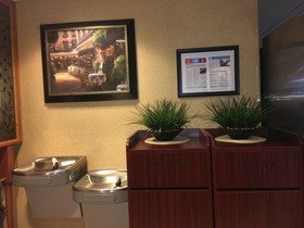 Microtel Inn & Suites by Wyndham Indianapolis Airport
