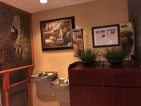 Microtel Inn & Suites by Wyndham Indianapolis Airport