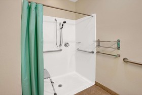 Microtel Inn & Suites by Wyndham Indianapolis Airport