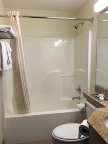 Microtel Inn & Suites by Wyndham Indianapolis Airport