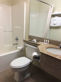 Microtel Inn & Suites by Wyndham Indianapolis Airport
